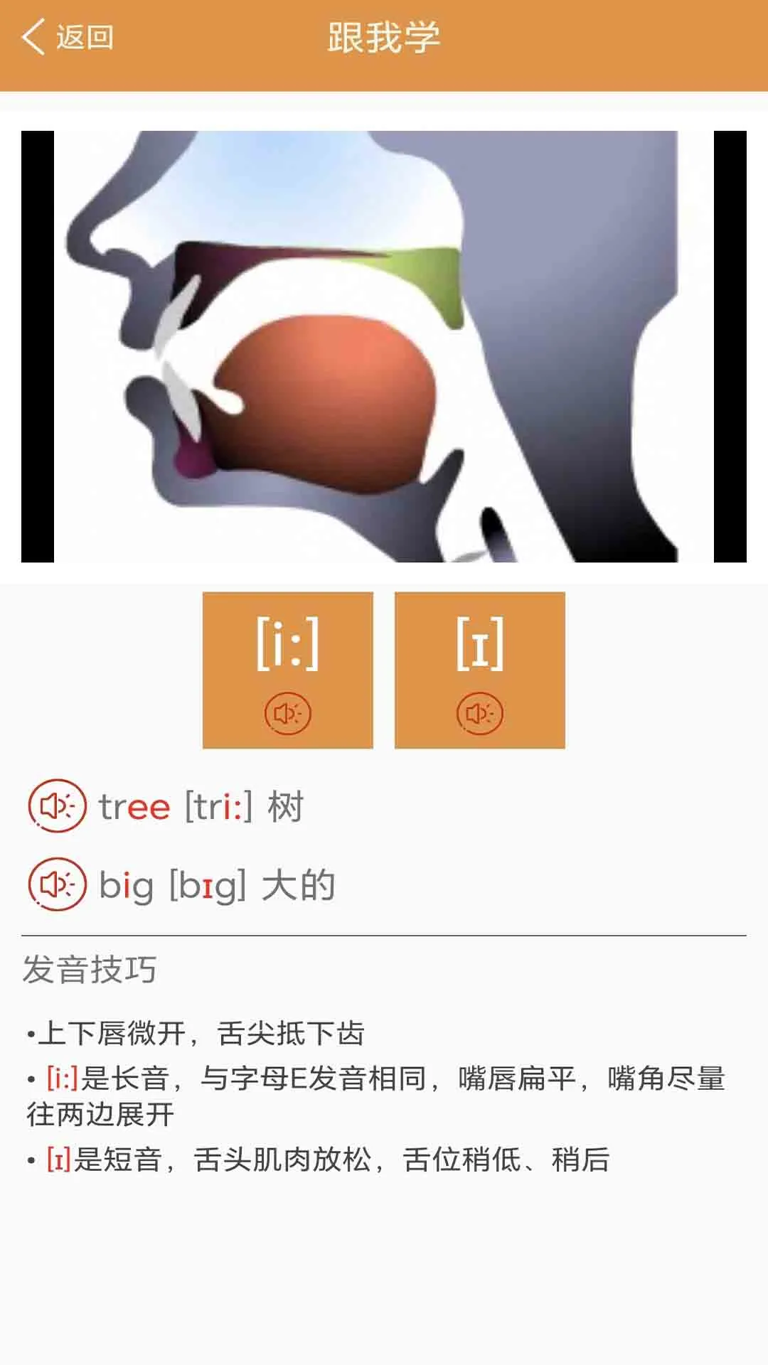 大猫英语国际音标功能展示