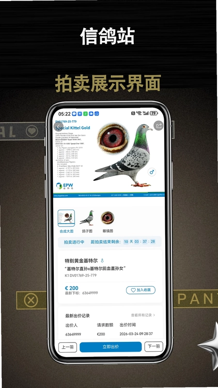 信鸽站手机版预览图