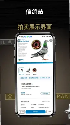�Ÿ�վ�ֻ���Ԥ��ͼ