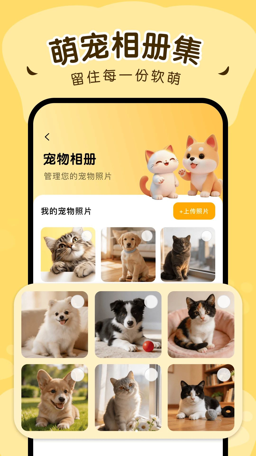 猫狗动物翻译官操作指南