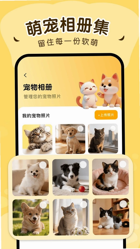 猫狗动物翻译官最新版预览图
