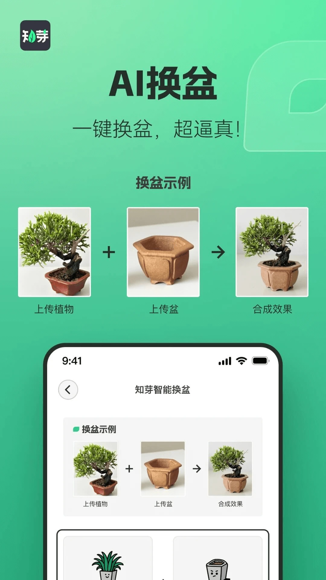 知芽盆栽预览图