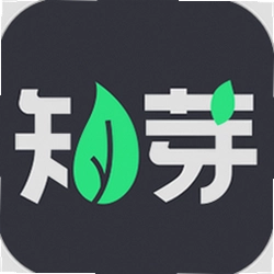 知芽盆栽