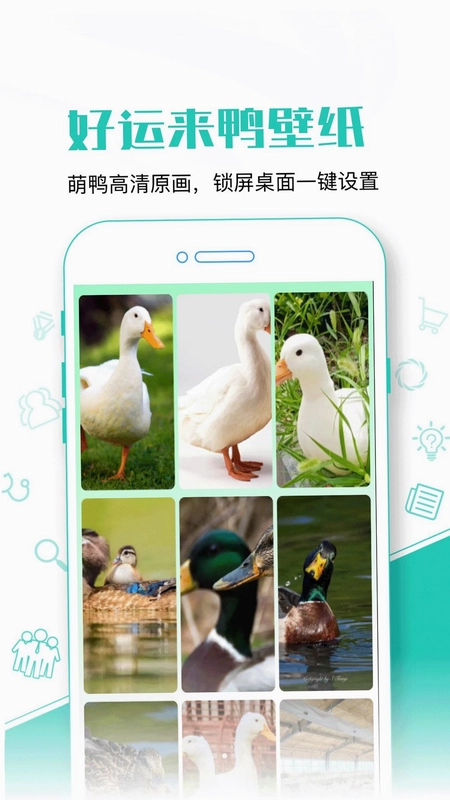 好运来鸭预览图
