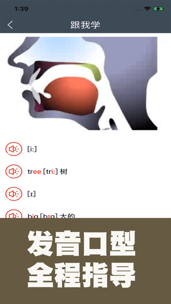 小学英语自然拼读课堂课程
