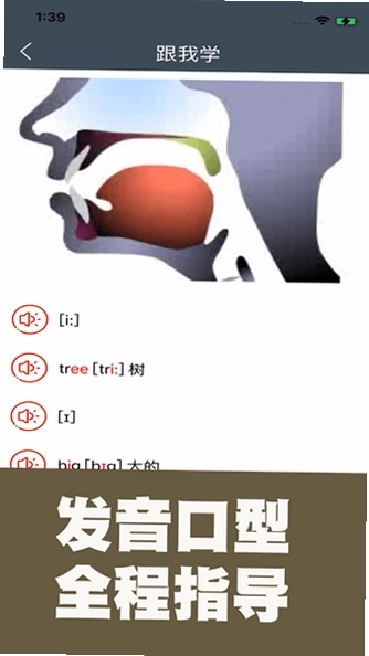 小学英语自然拼读课堂预览图
