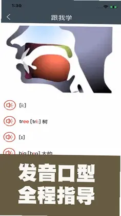 小学英语自然拼读课堂预览图