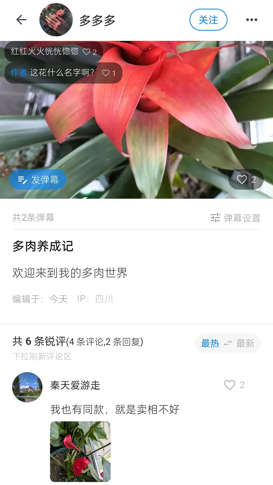 随笔锐评功能展示