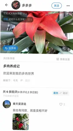 随笔锐评预览图