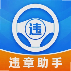 交通违章处置指南app