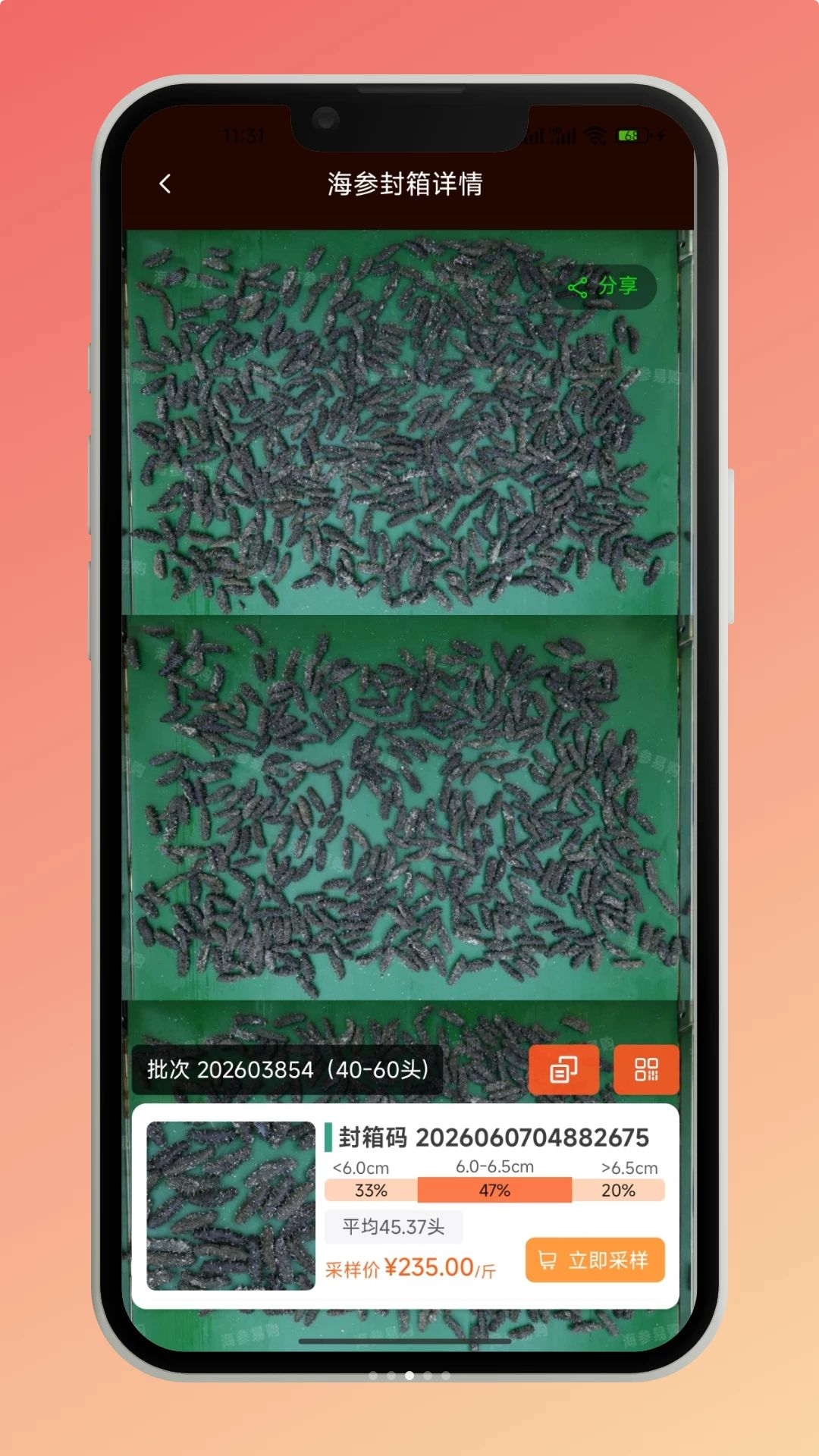海参易购实时行情