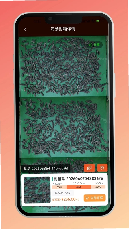 海参易购预览图