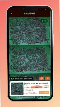 海参易购预览图