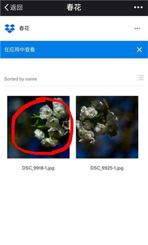 DropBox安卓版