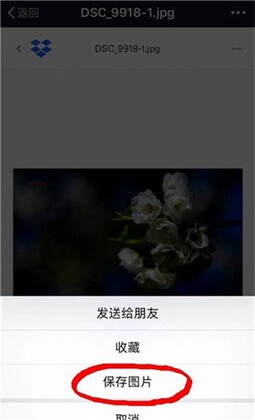 Dropbox 多宝箱预览图