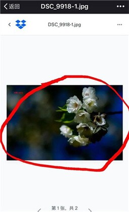 Dropbox 多宝箱预览图