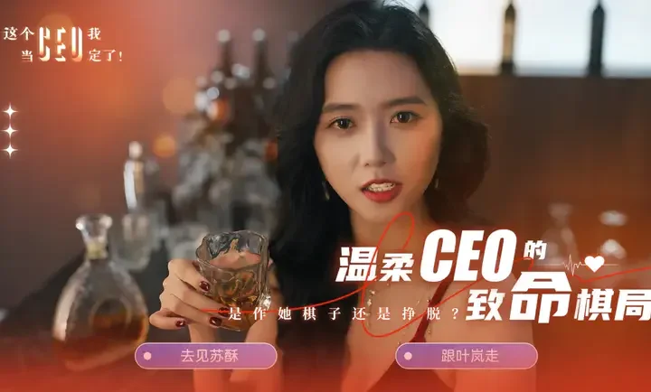 这个CEO我当定了预览图