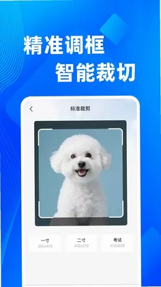 123电子证件包最新版预览图