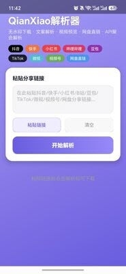 QianXiao解析器界面