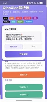 QianXiao解析器(浅笑解析器)预览图