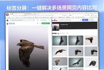 小智双核浏览器预览图