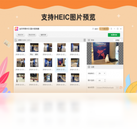 金舟苹果HEIC图片转换器转换界面