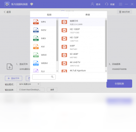 烁光视频转换器格式支持
