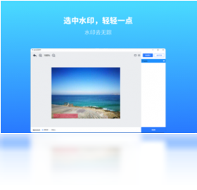 幂果去水印格式支持