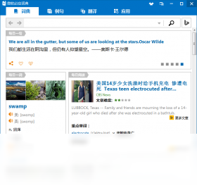 必应词典电脑版预览