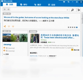 必应词典电脑版预览图