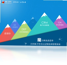 魔方网表PC版预览图