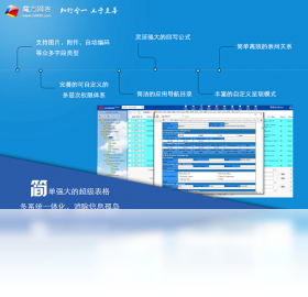 魔方网表(magicflu)数据管理界面