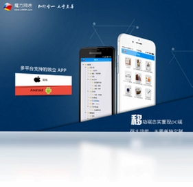 魔方网表PC版预览图