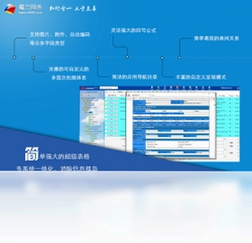 魔方网表PC版预览图