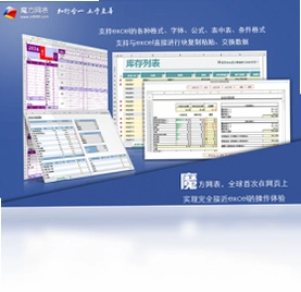魔方网表PC版预览图
