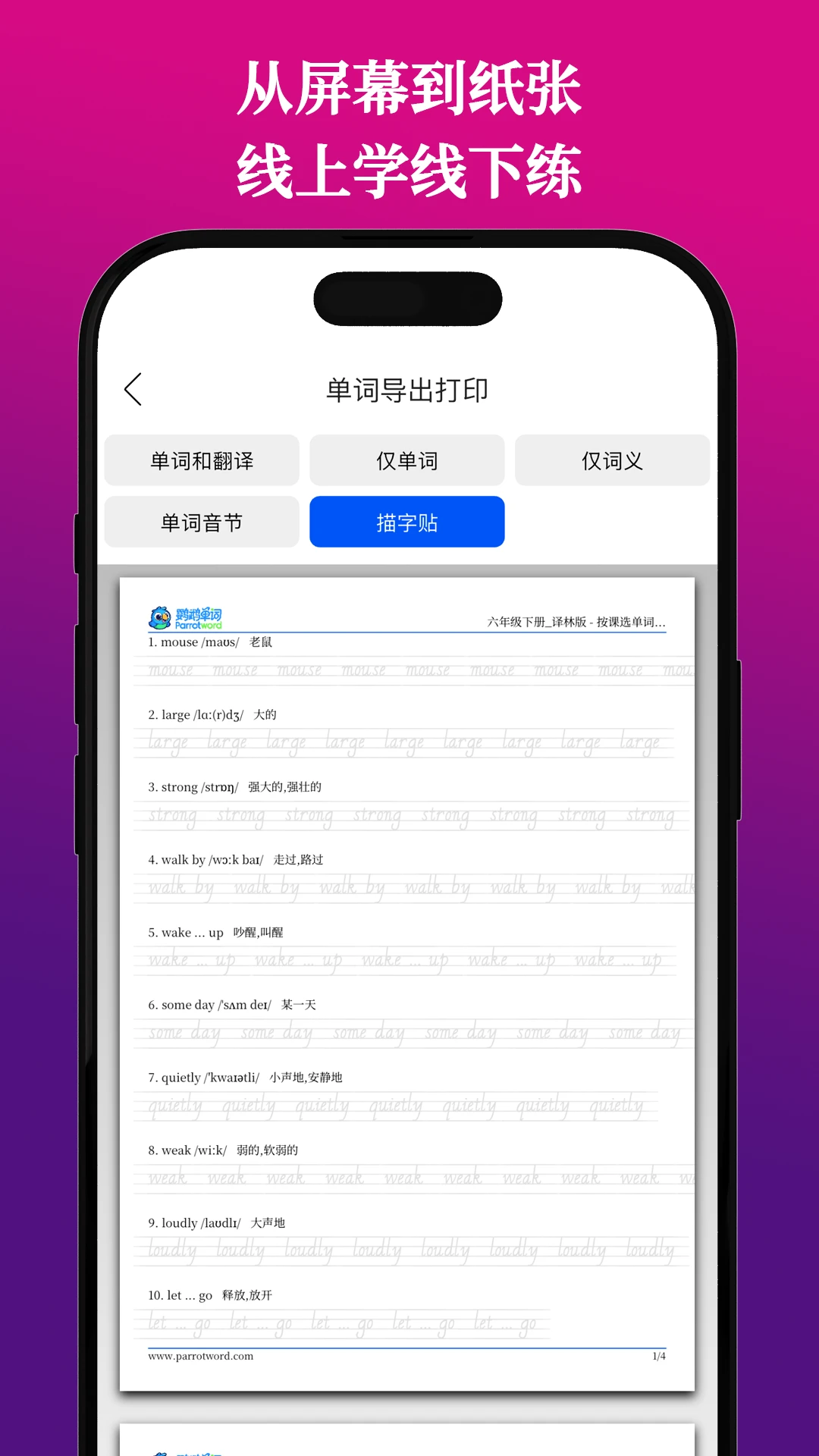 鹦鹉单词长词拆分