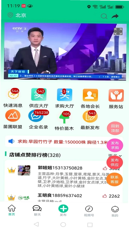 苗木人预览图