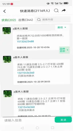 苗木人预览图