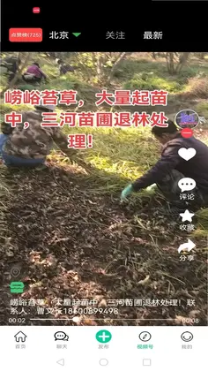 苗木人预览图
