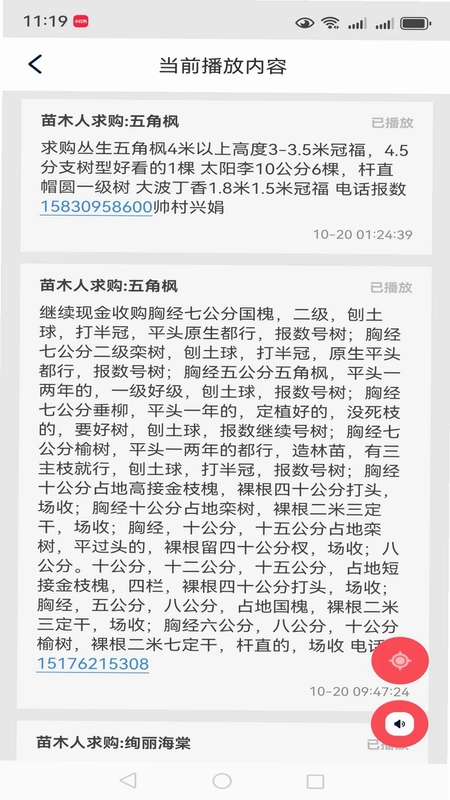 苗木人预览图