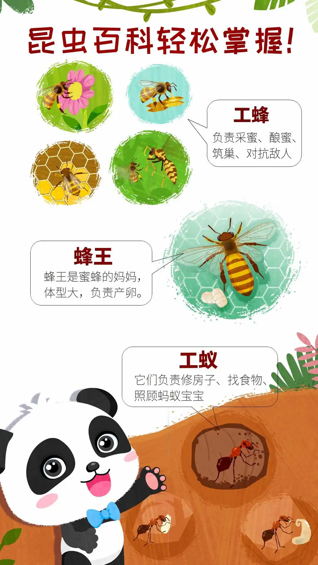 奇妙昆虫世界保卫蜂巢战斗