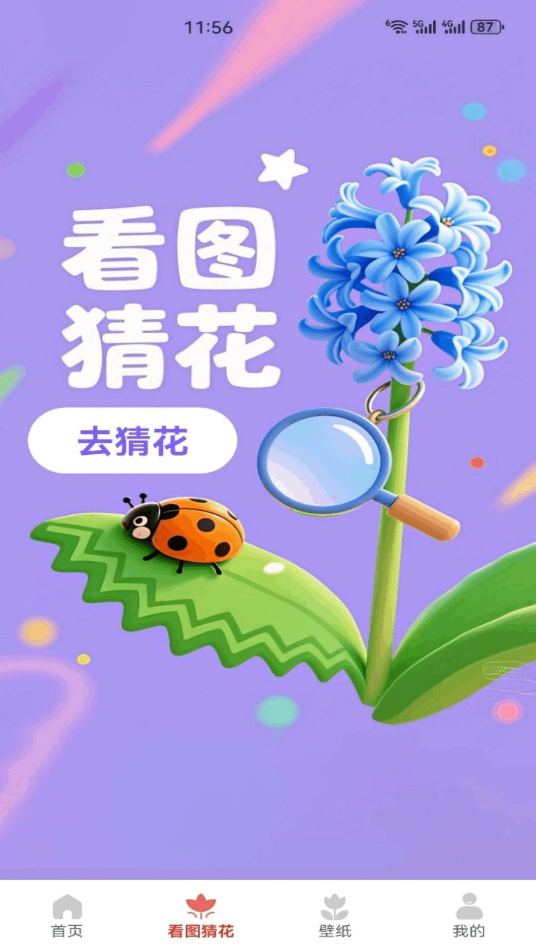 解忧花店花语界面