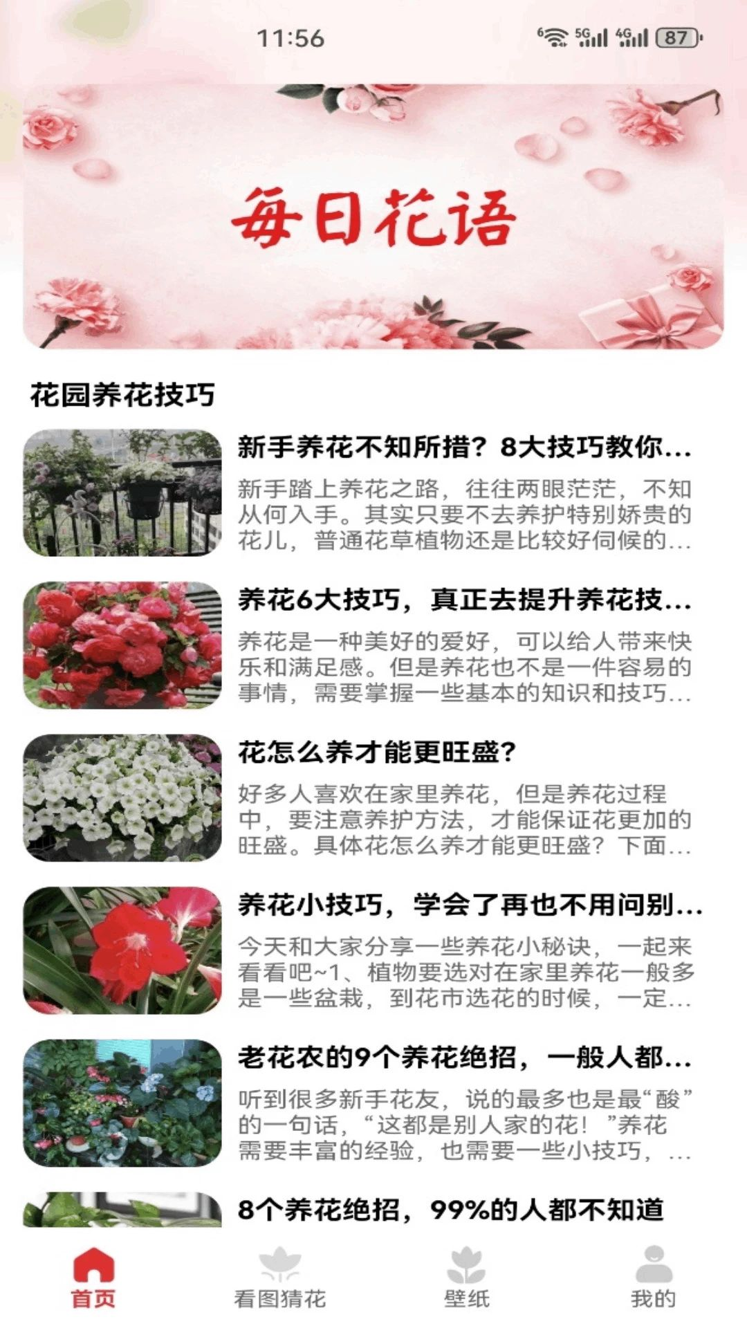 解忧花店预览图