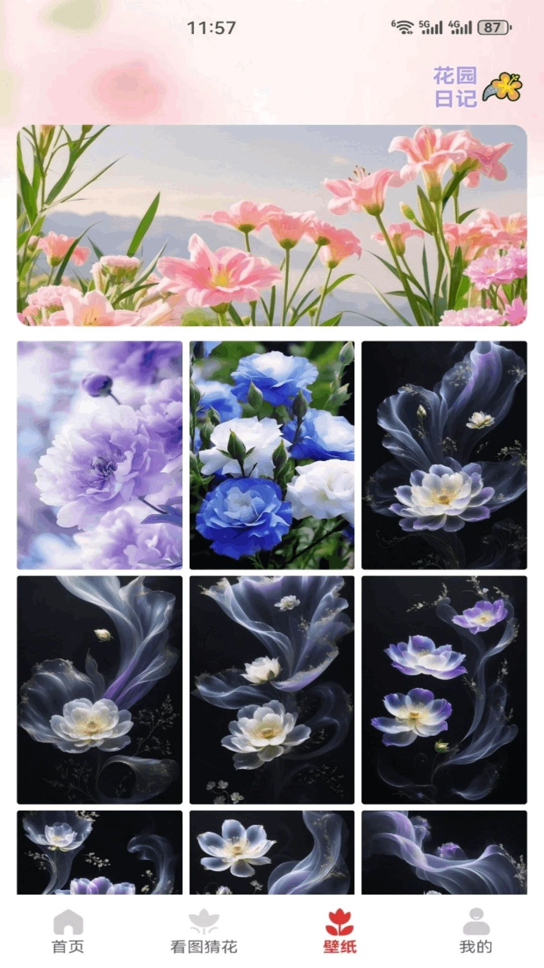 解忧花店花园日记