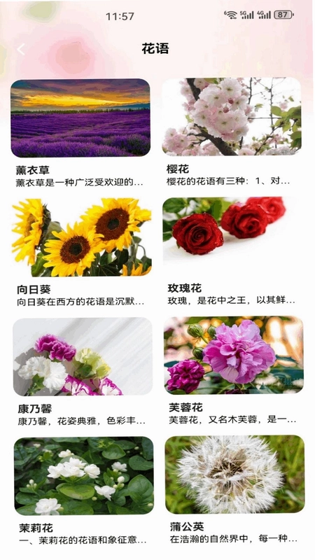 解忧花店官方版预览图