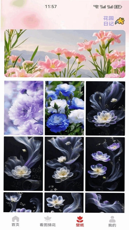 解忧花店官方版预览图