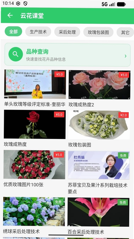花拍服务供官方版预览图