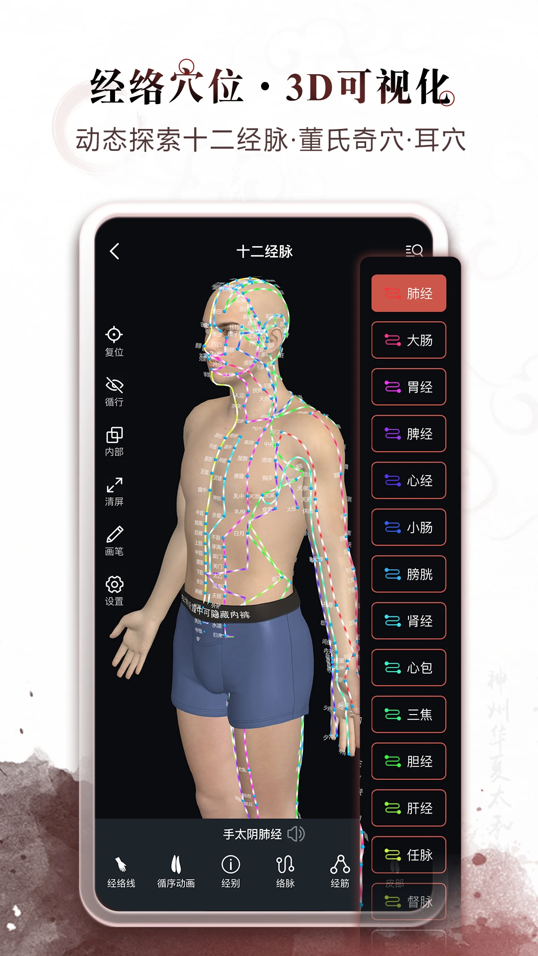 中医经络穴位3D模型预览