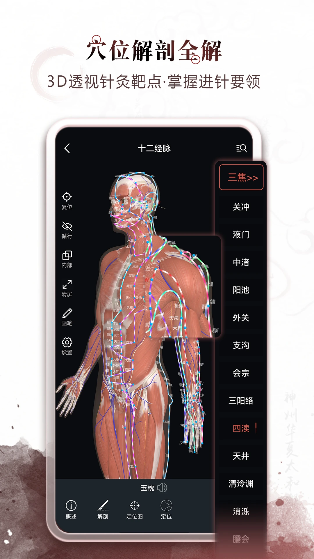 中医经络穴位养生时钟功能