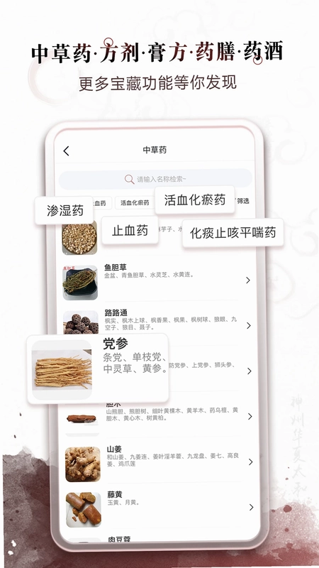 中医经络穴位预览图